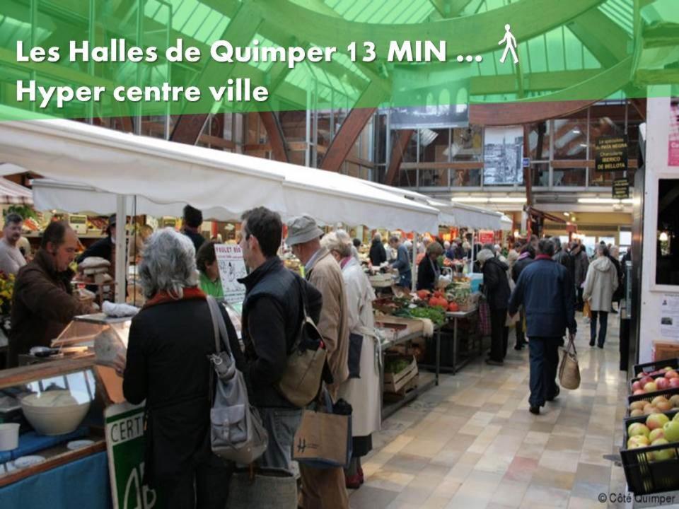 Le Nid 2 Quimper By Nid'Ouest Daire Dış mekan fotoğraf